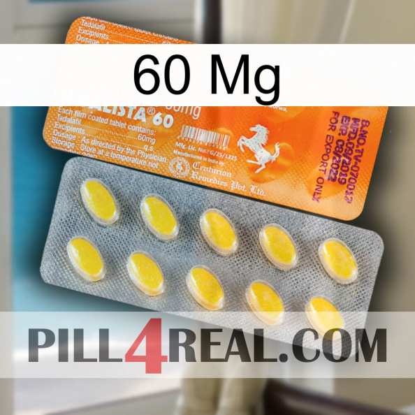 60 Mg new05.jpg